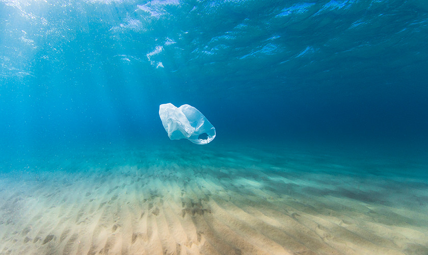 Soupe de plastique : pouvons-nous encore sauver les océans ?